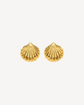 Gold Plated Shell Stud Earrings for Women - product image 1